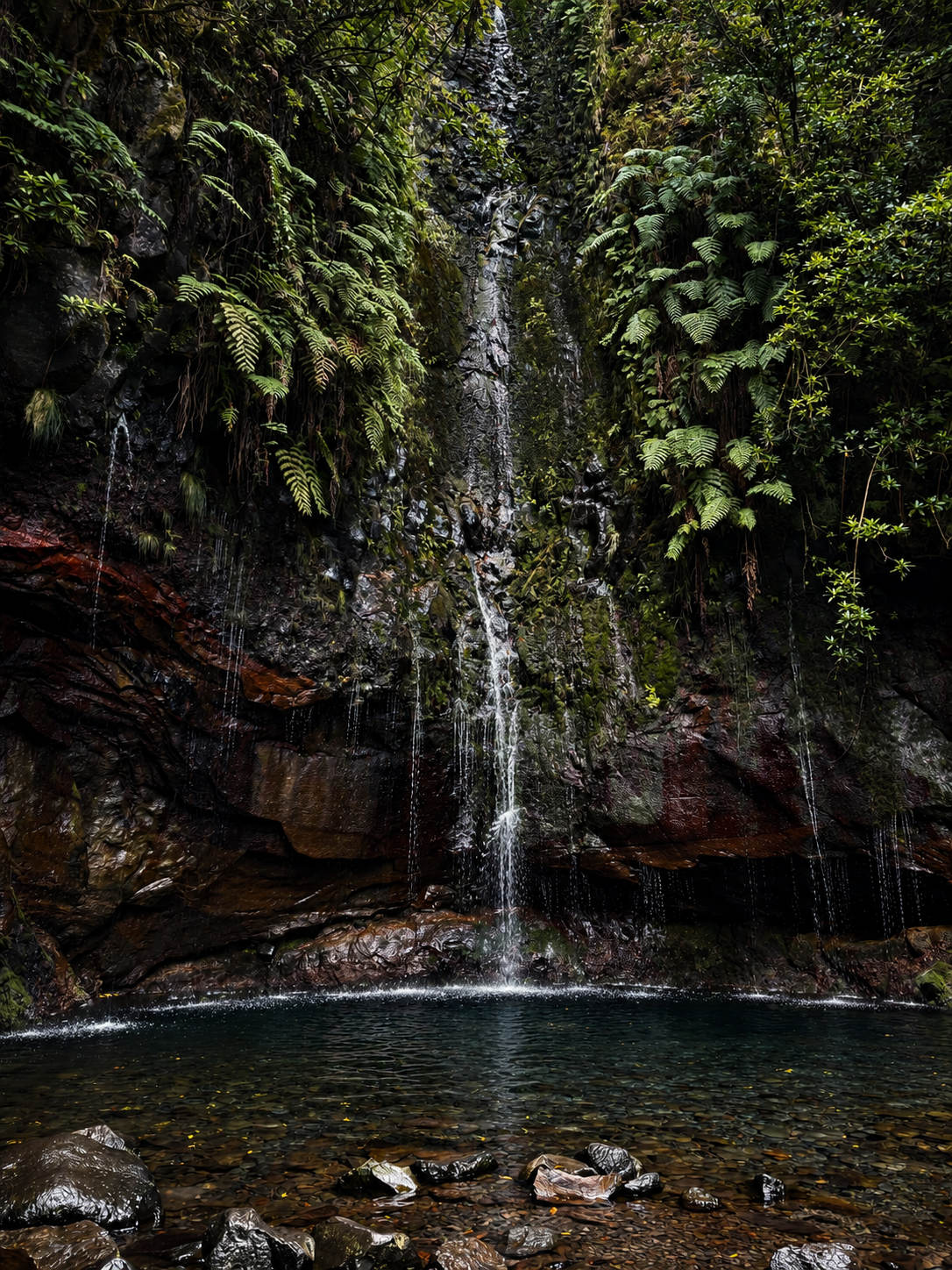 The Quiet Falls